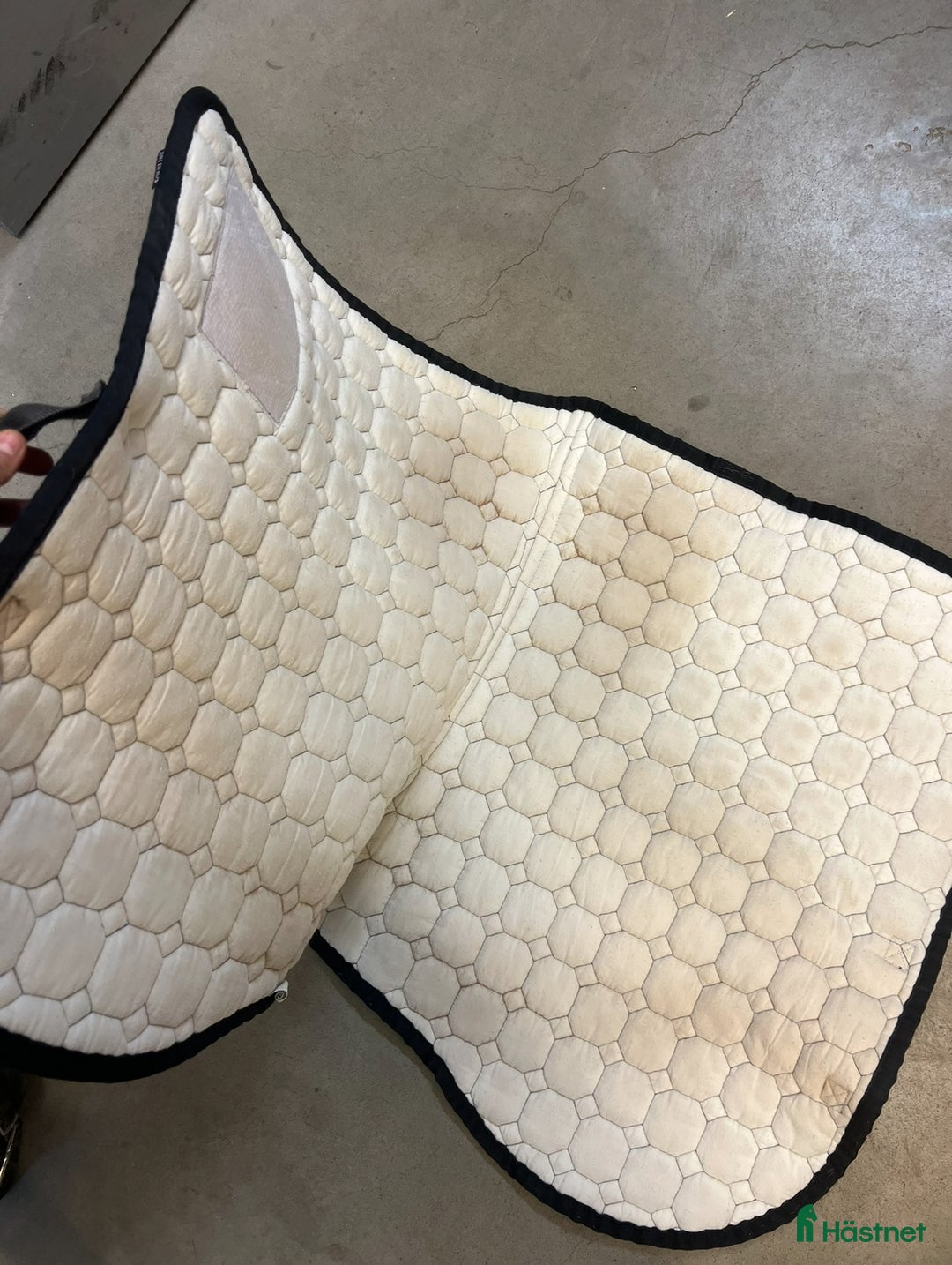 Schabrak & Vojlockar hästutrustning till salu: Fint equiline schabrak  i Viken - Annons 3