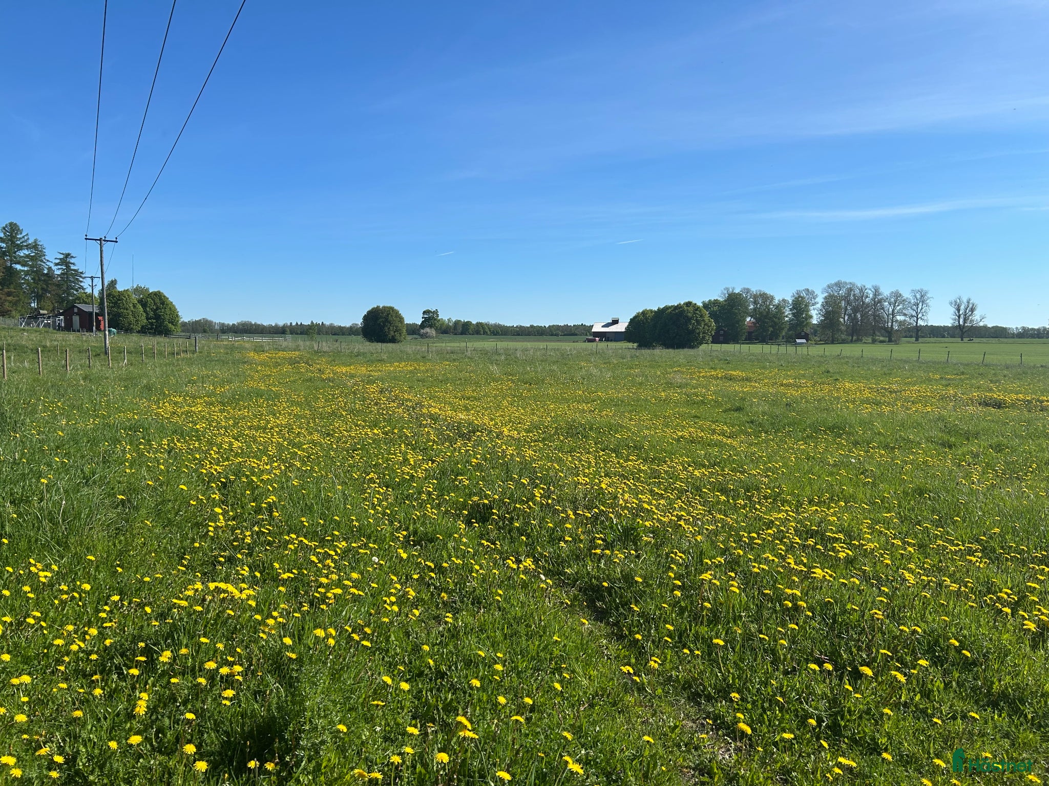  stallplats Sommarbete finnes - Annons 18