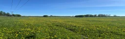  stallplats finnes: Sommarbete finnes - Annons 1