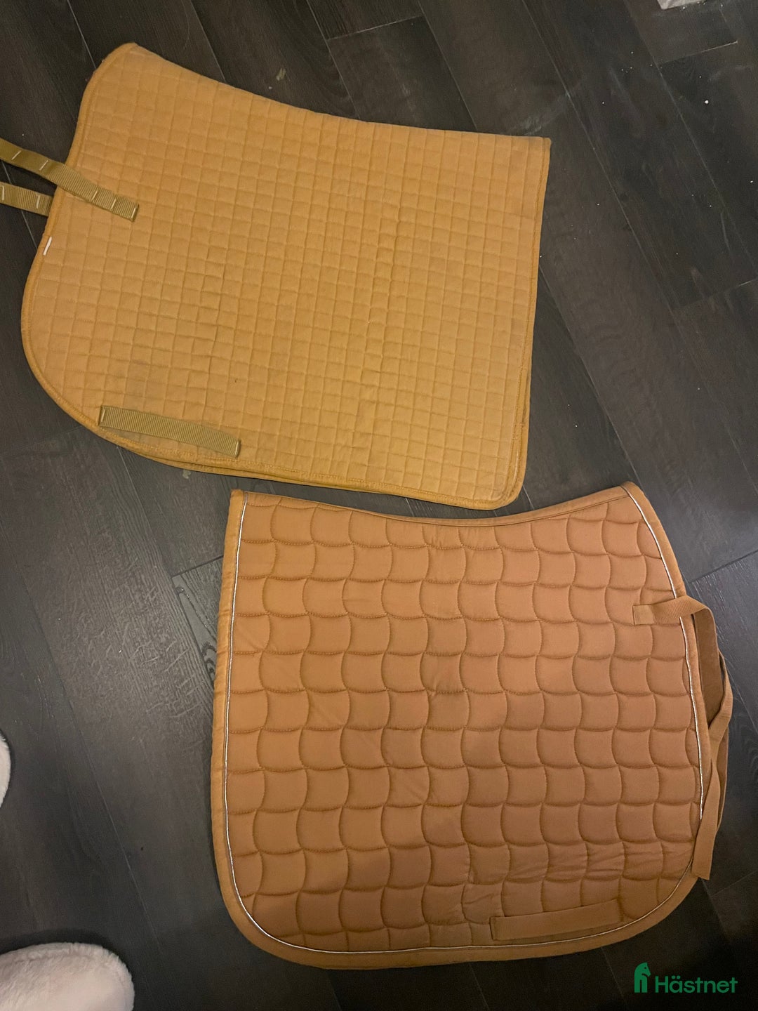 Övrig Hästutrustning hästutrustning till salu: Övriga hästtillbehör i Kopparberg - Annons 2