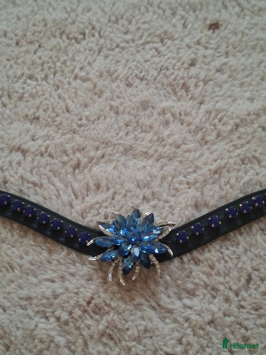 Övrig Hästutrustning hästutrustning till salu: Blått pannband stl cob i Jättendal - Annons 2