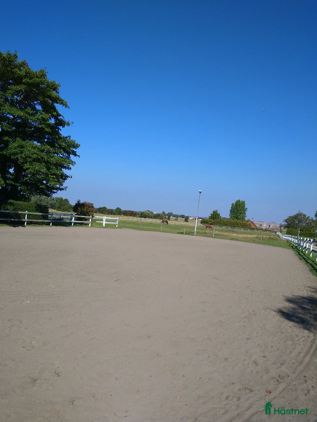 stallplats finnes: Boxplats med sommarbete i ett litet mysigt stall - Annons 2
