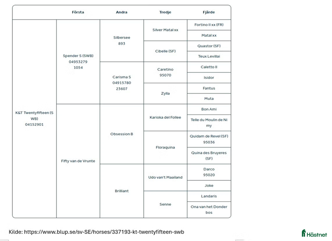 Hoppning hästar till salu: Snill spranghest med stor kapasitet i Nittedal - Annons 4