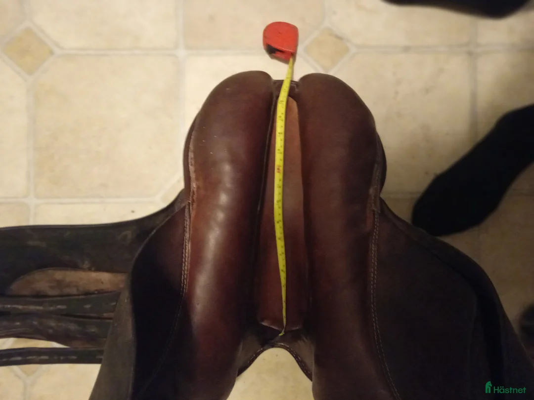 Sadlar hästutrustning till salu: En fin stubben  i Bjuråker - Annons 1