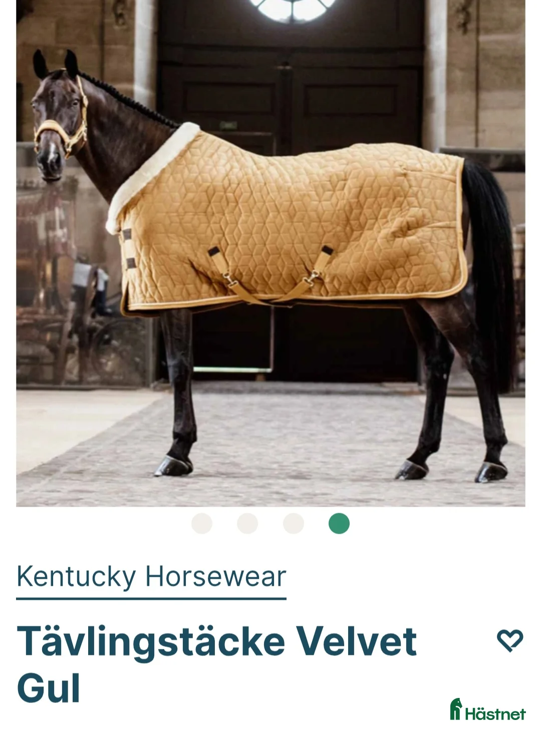 Täcken hästutrustning till salu: ⭐️🌟Kvar i sin förpackning🌟⭐️ - Annons 1