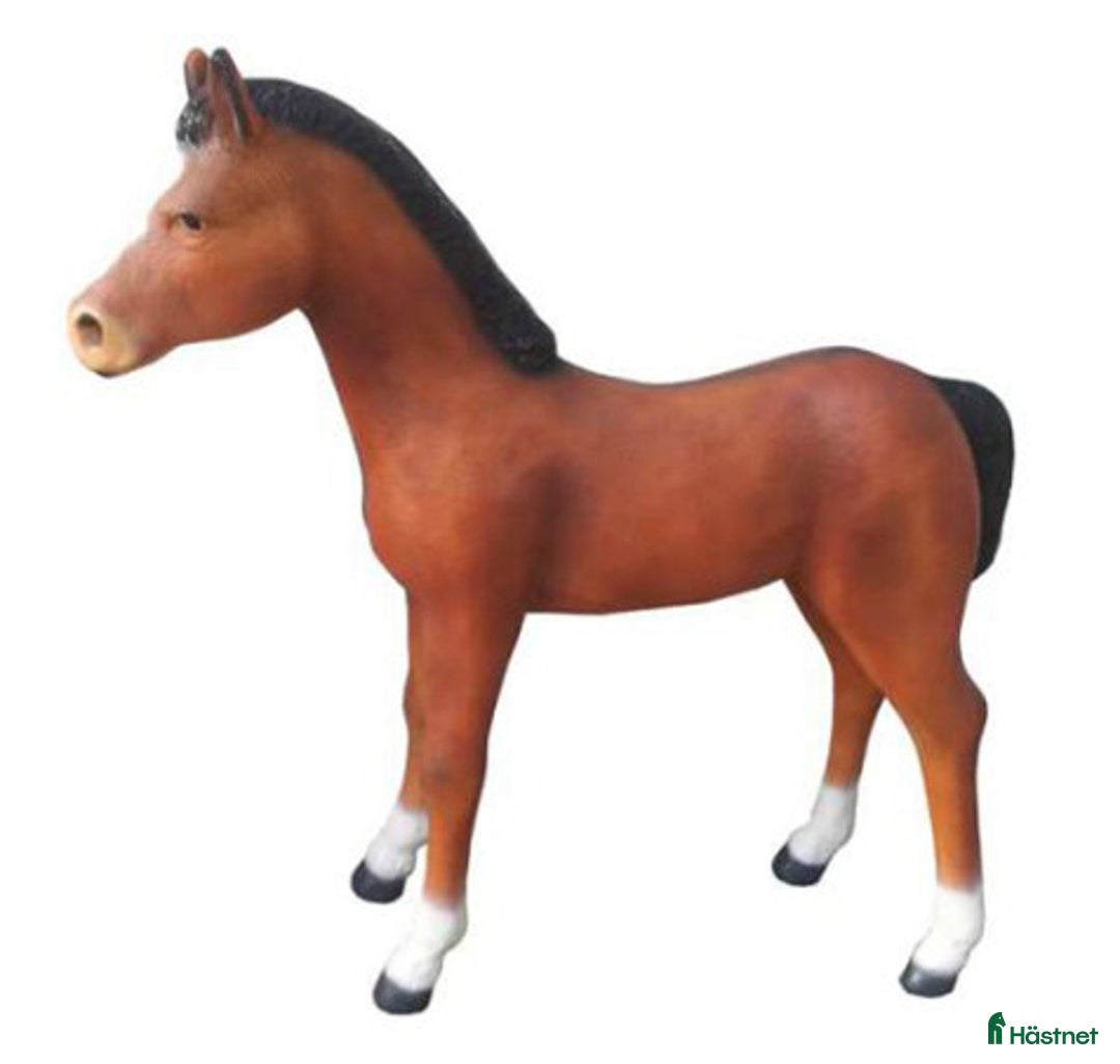 Hästinspirerad heminredning övrig utrustning till salu: Unika glasfiberhästar i naturlig storlek i Luleå - Annons 8