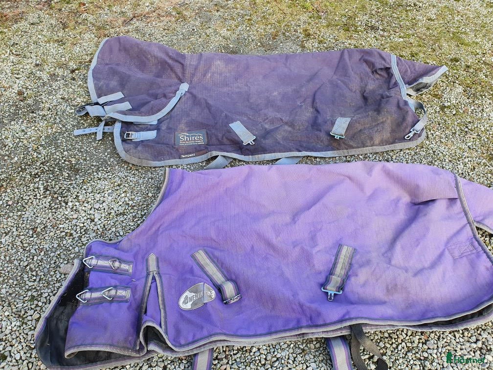 Täcken hästutrustning Shettistäcken i Trelleborg - Annons 7