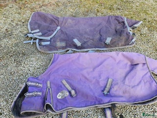 Täcken hästutrustning till salu: Shettistäcken i Trelleborg - Annons 1