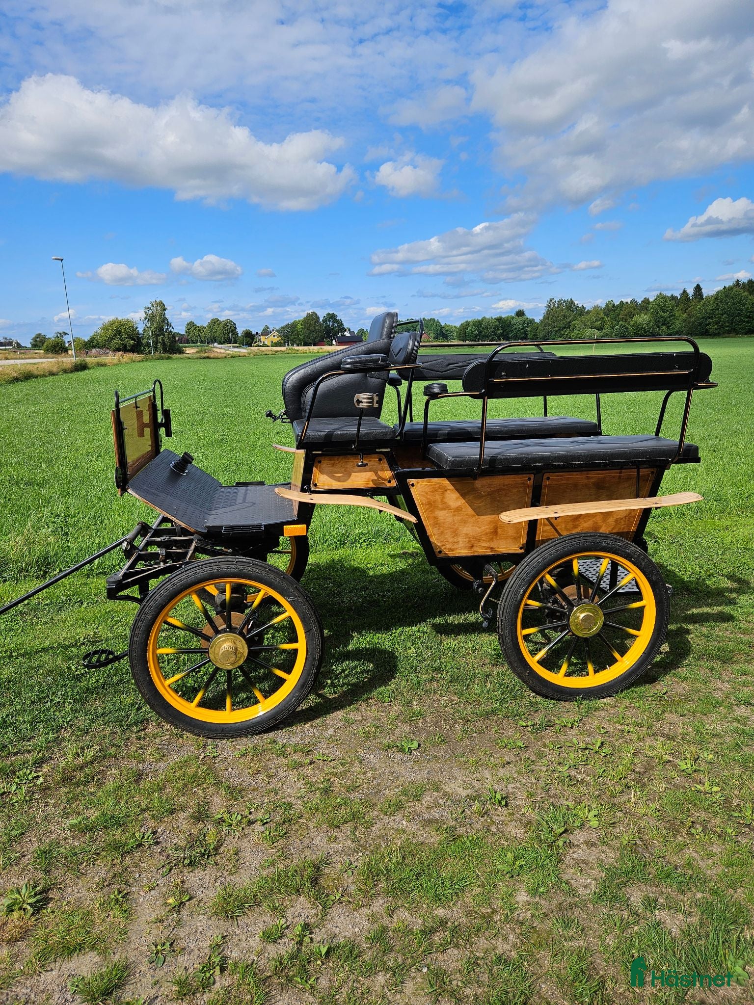 Körvagnar körning till salu: Wagonette  - Annons 4