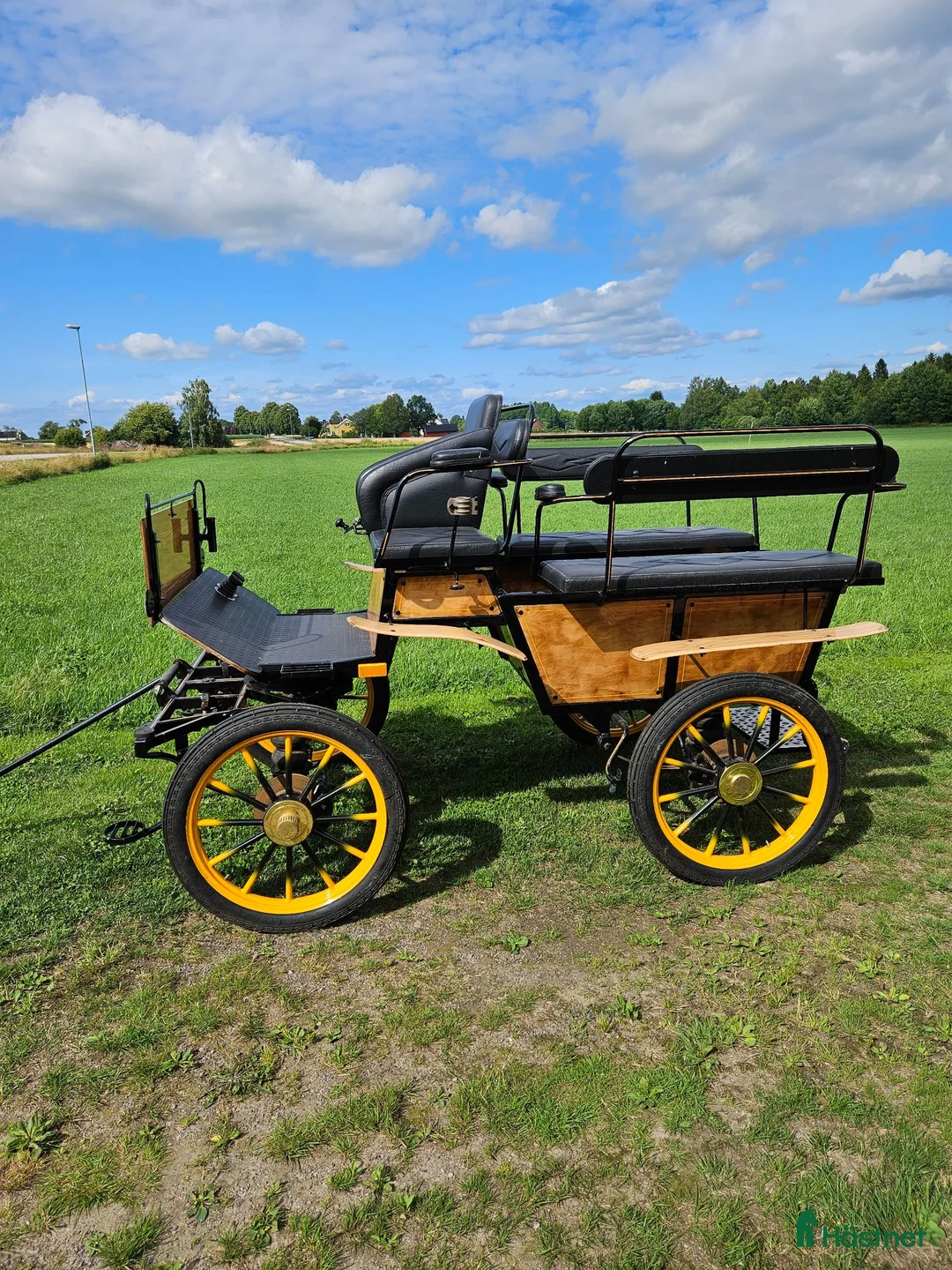 Körvagnar körning till salu: Wagonette  - Annons 1