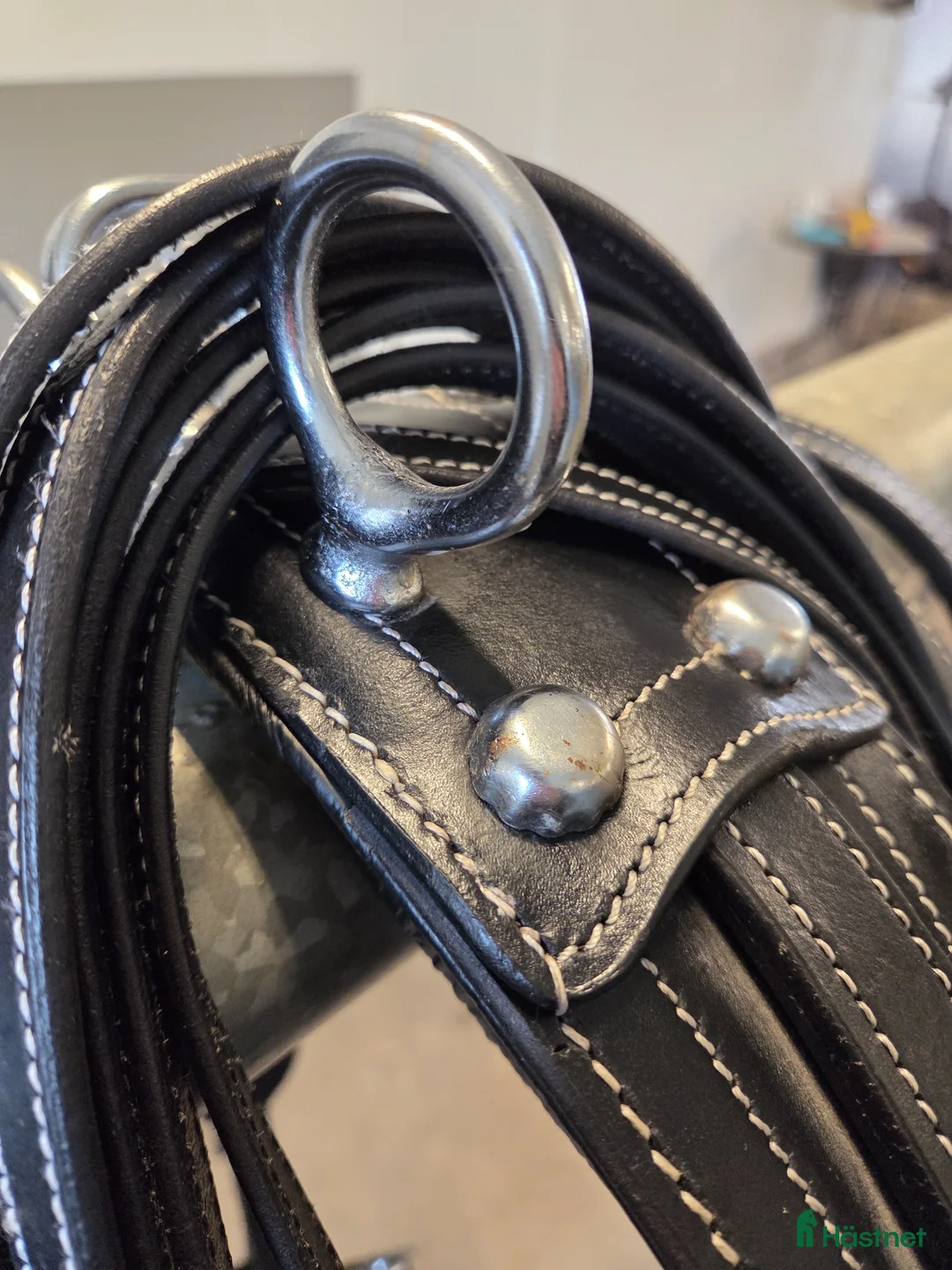 Körselar körning till salu: Sele passande shetland - Annons 2