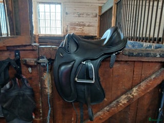 Sadlar hästutrustning till salu: Bomlös stadig allroundsadel i Norrköping - Annons 4