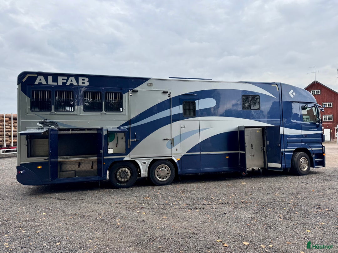 Hästlastbilar  fordon & transport till salu: Hästlastbil ketter i Åtvidaberg - Annons 19