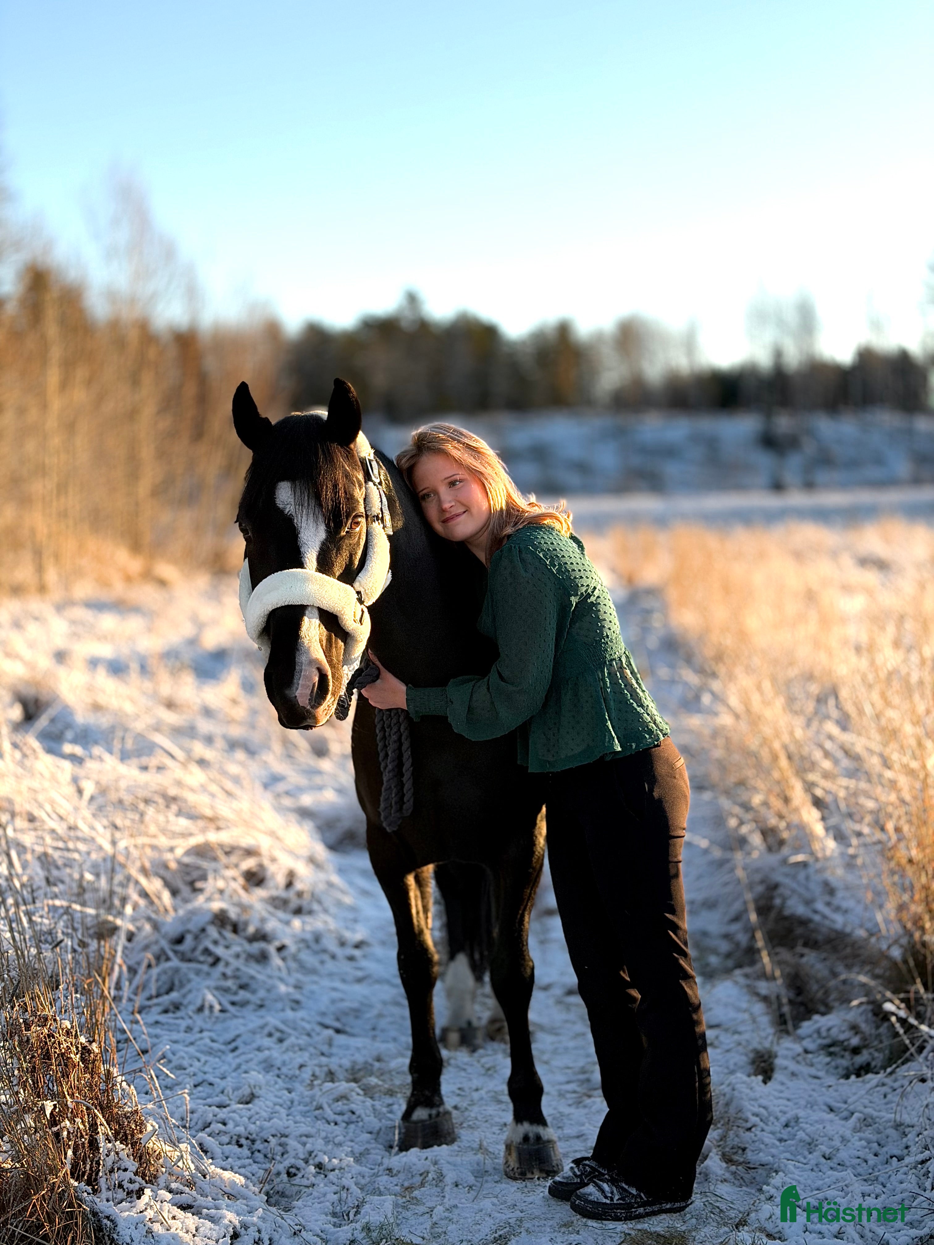  hästar Drömponny med stor framtid - Annons 17