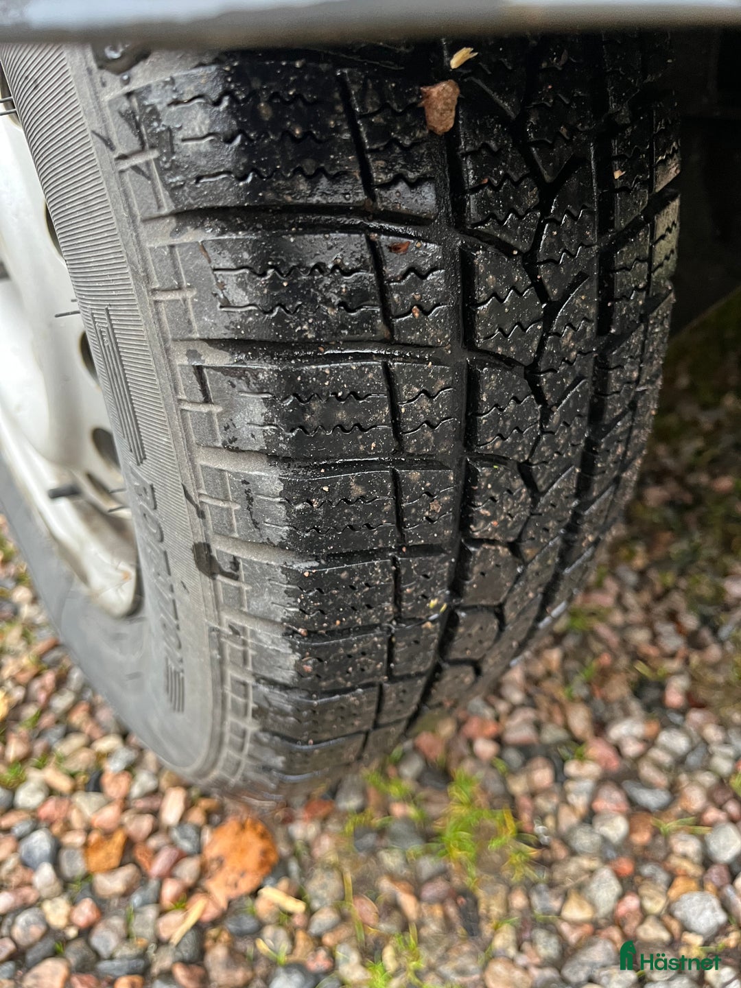 Hästtransporter  fordon & transport till salu: Atec Starline i Höör - Annons 6