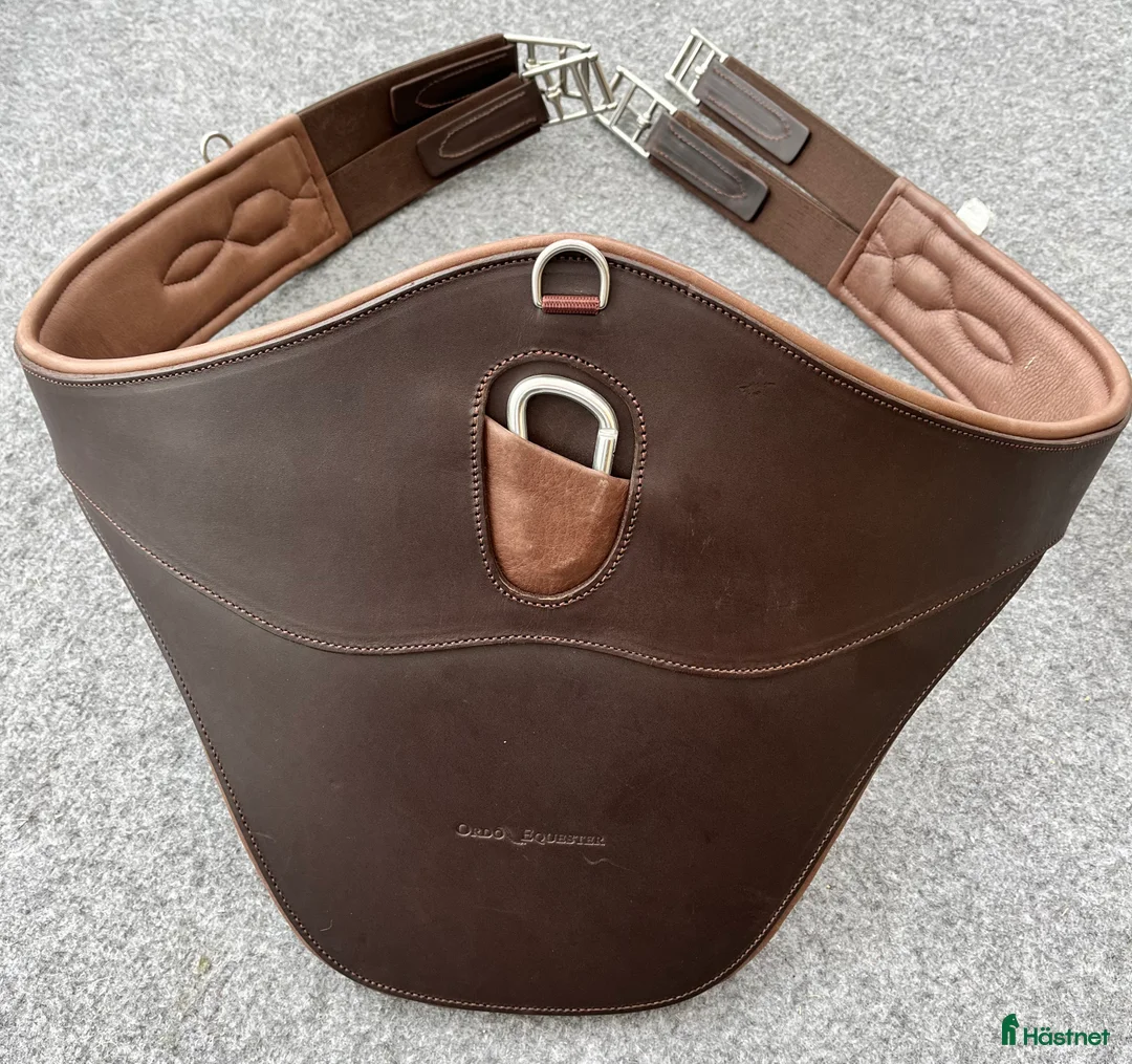 Sadeltillbehör hästutrustning till salu: Hoppgjord från Globus i Hällevadsholm - Annons 2