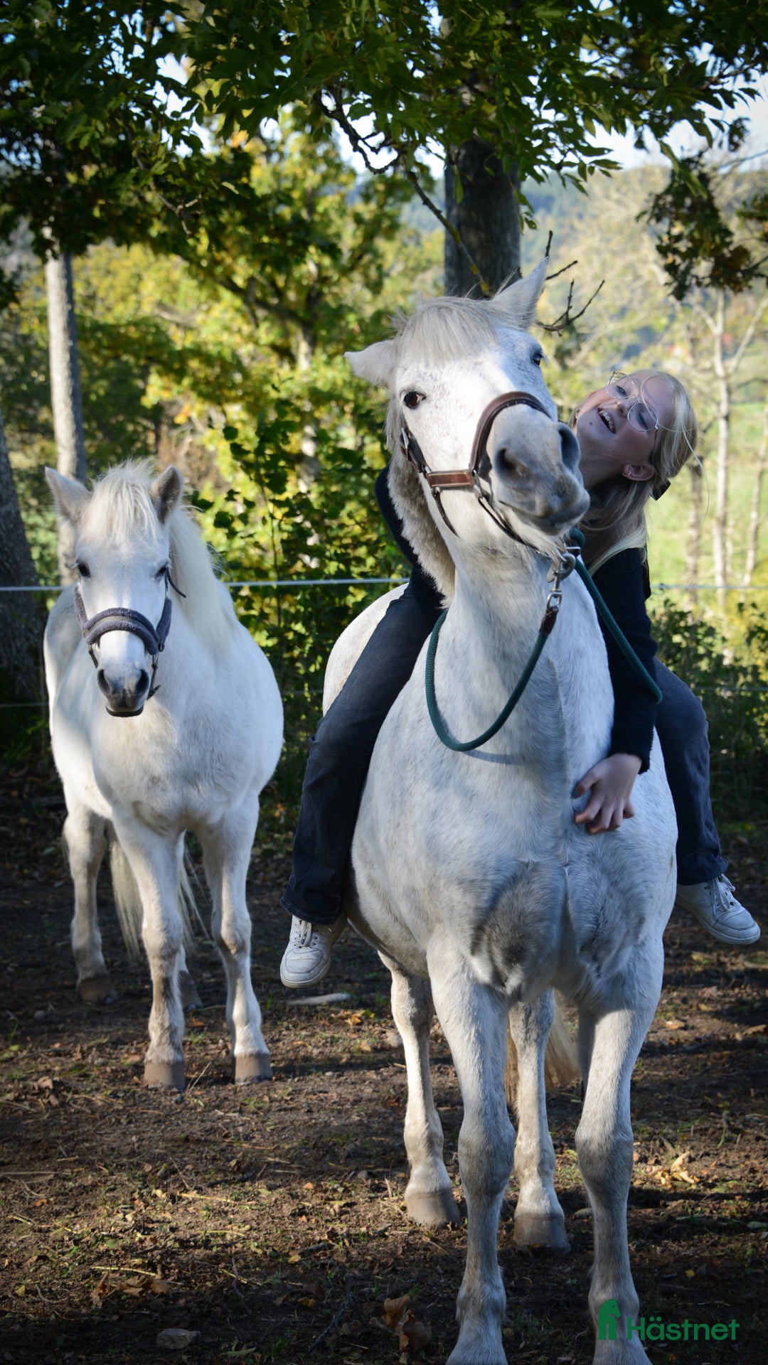 Galleribild {{count}}