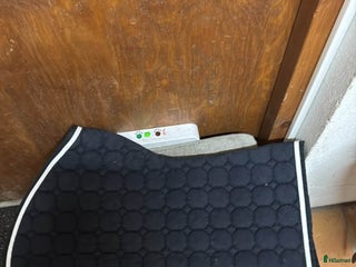 Schabrak & Vojlockar hästutrustning till salu: Equiline schabrack full hopp🦄 i Landskrona - Annons 5