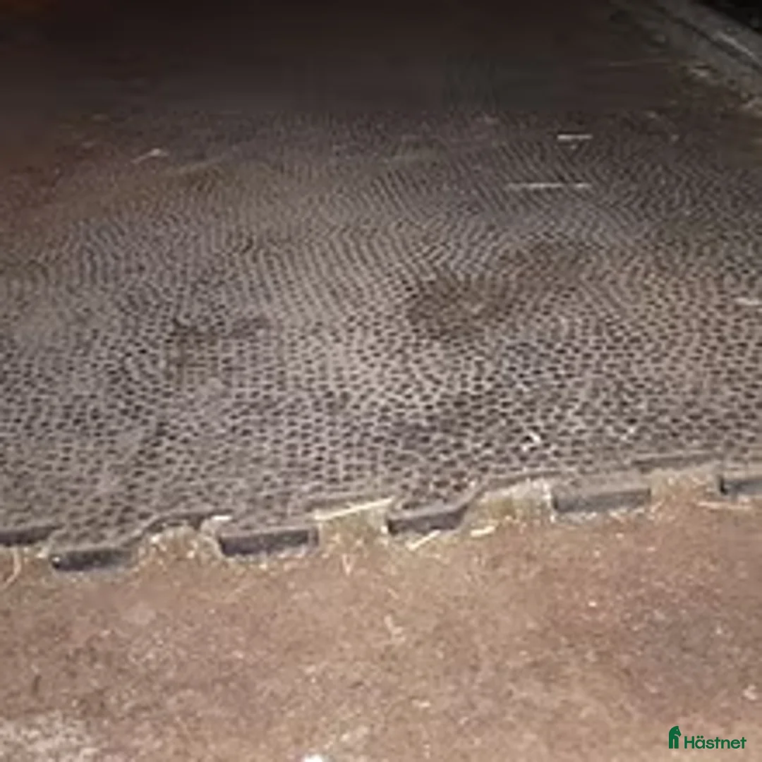 Stallinredning, stängsel & gård övrig utrustning till salu: boxmattor, boxar, elaggregat till hage i Märsta - Annons 1