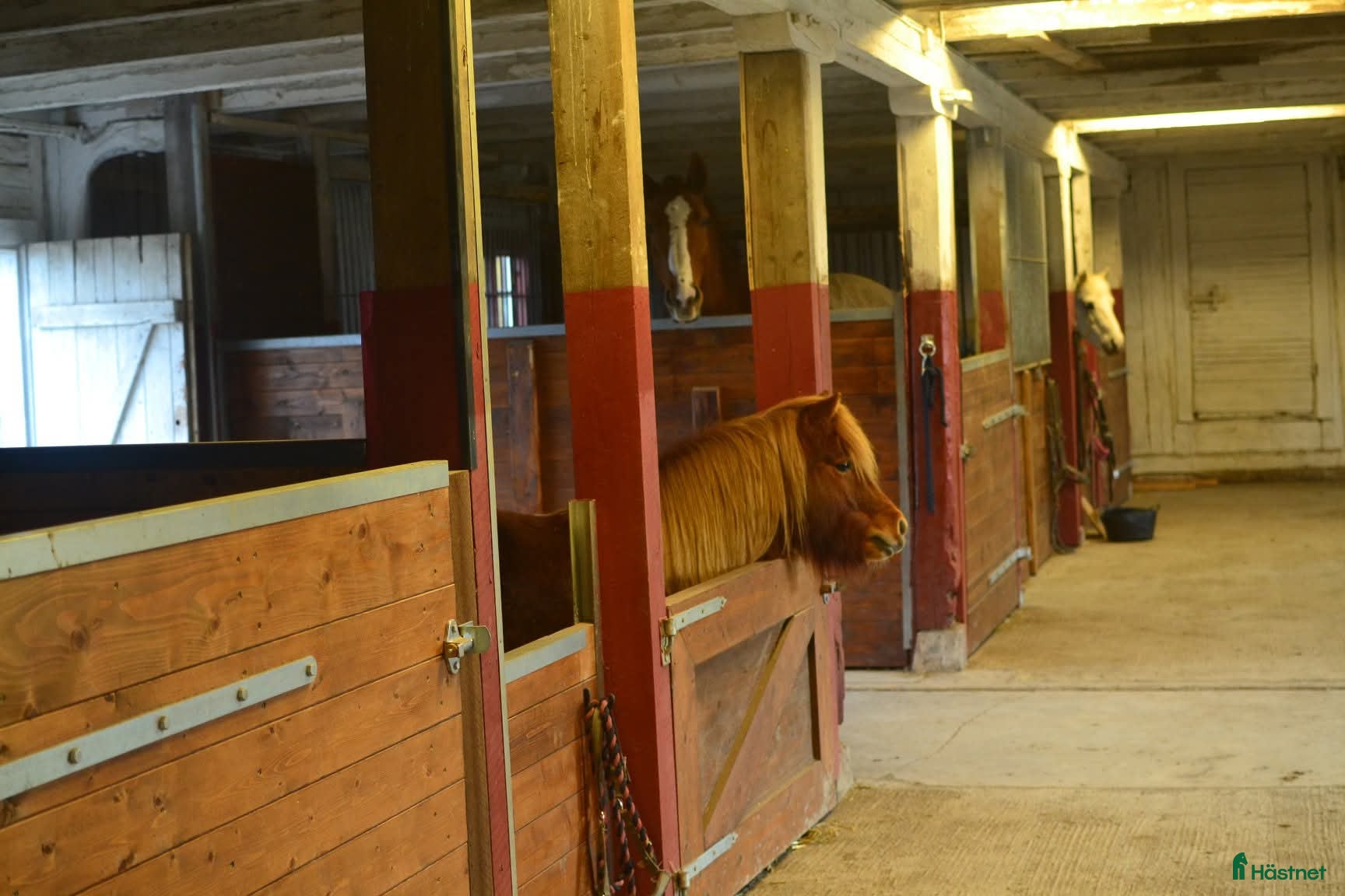  stallplats Box plats i Tensta Vattholma  - Annons 4