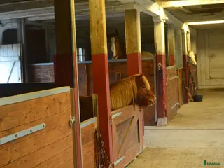 stallplats Box plats i Tensta Vattholma - Annons 4