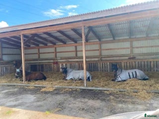 stallplats Plats på lösdrift i Munsö - Annons 5