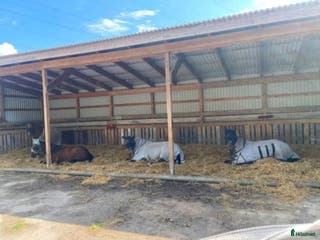 stallplats Plats på lösdrift i Munsö - Annons 17