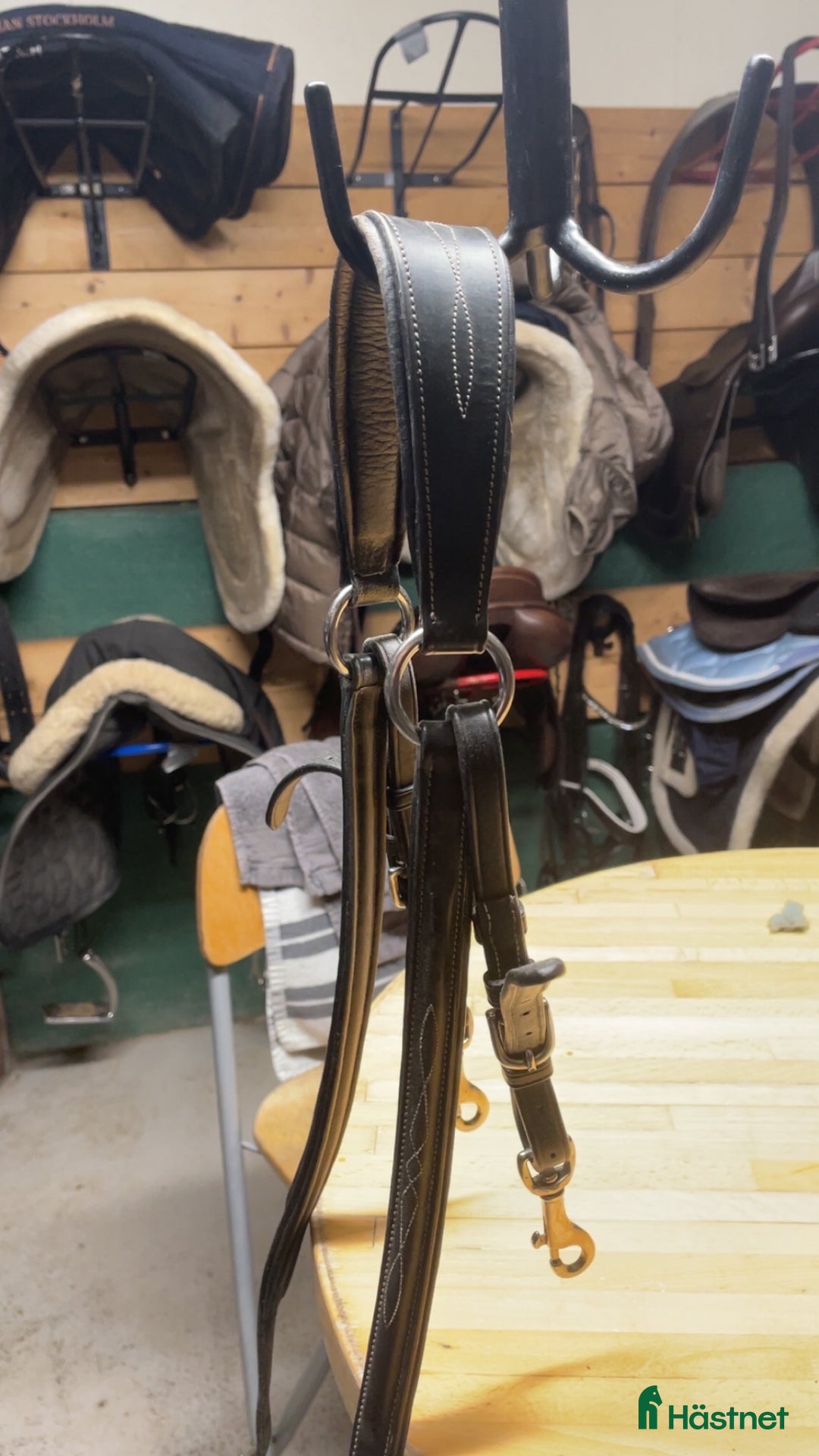 Sadeltillbehör hästutrustning till salu: Lippo förbygel  i Borås - Annons 4