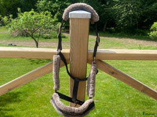 Övrig Hästutrustning hästutrustning till salu: JH collection grimma stl cob i Skurup - Annons 10