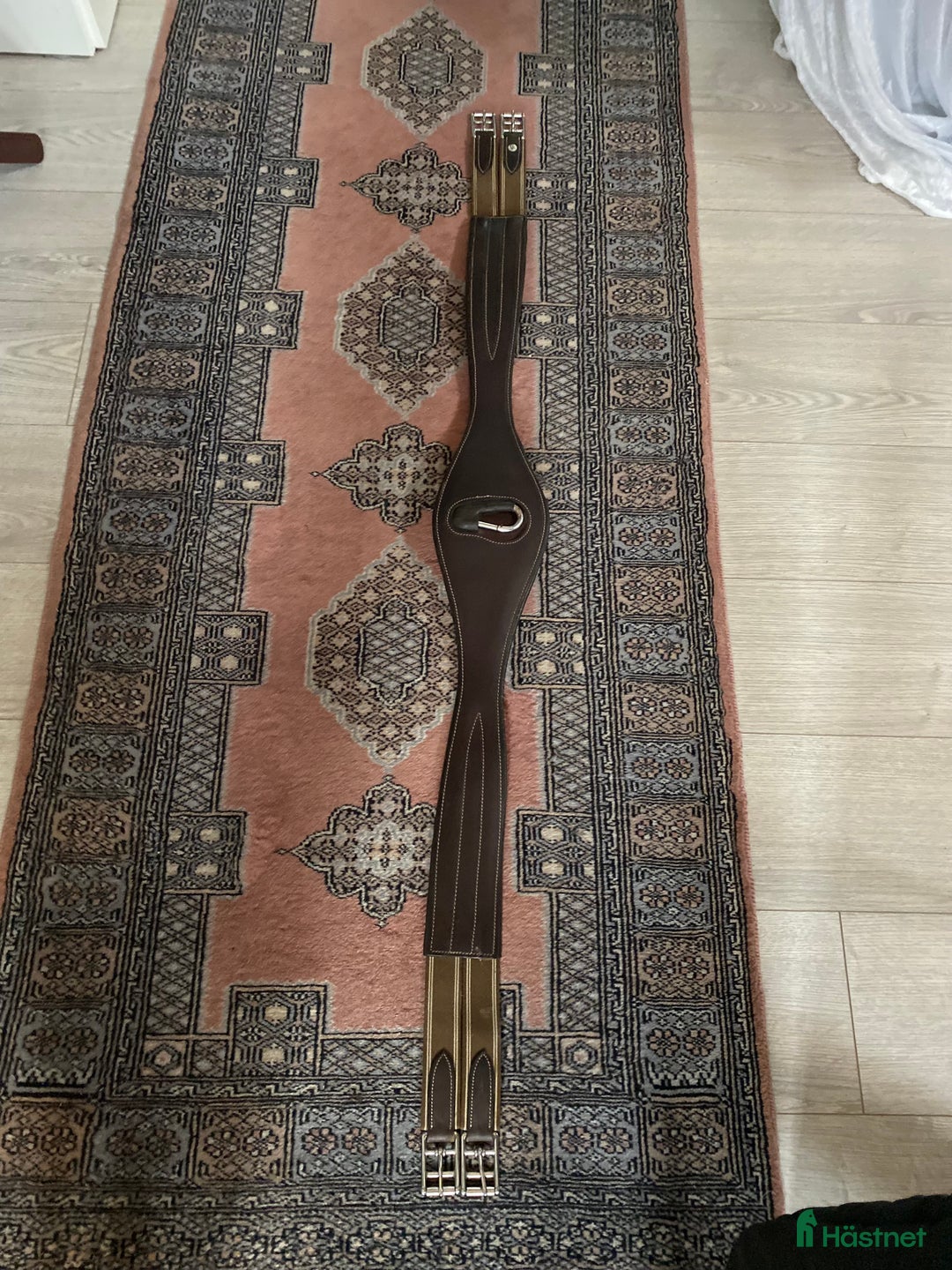 Övrig Hästutrustning hästutrustning till salu: Häst och ryttarutrustning till salu⭐️ i Grimeton - Annons 2