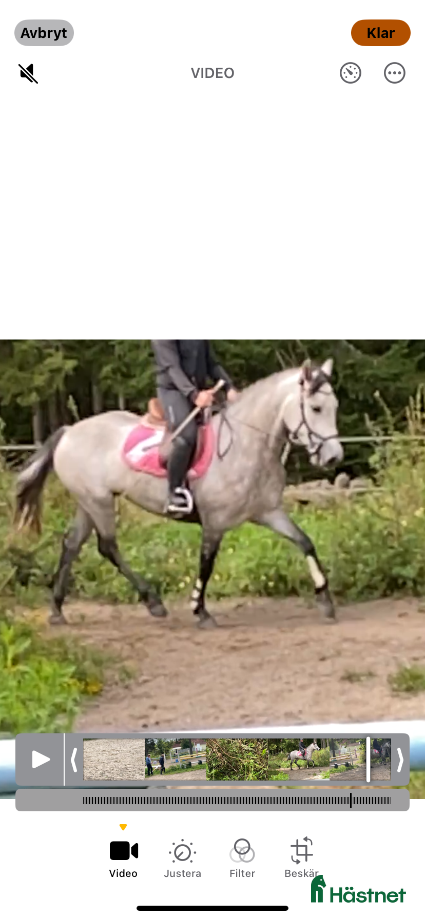  hästjobb Duktig säker ryttare sökes,ungponnyer,kat D - Annons 1