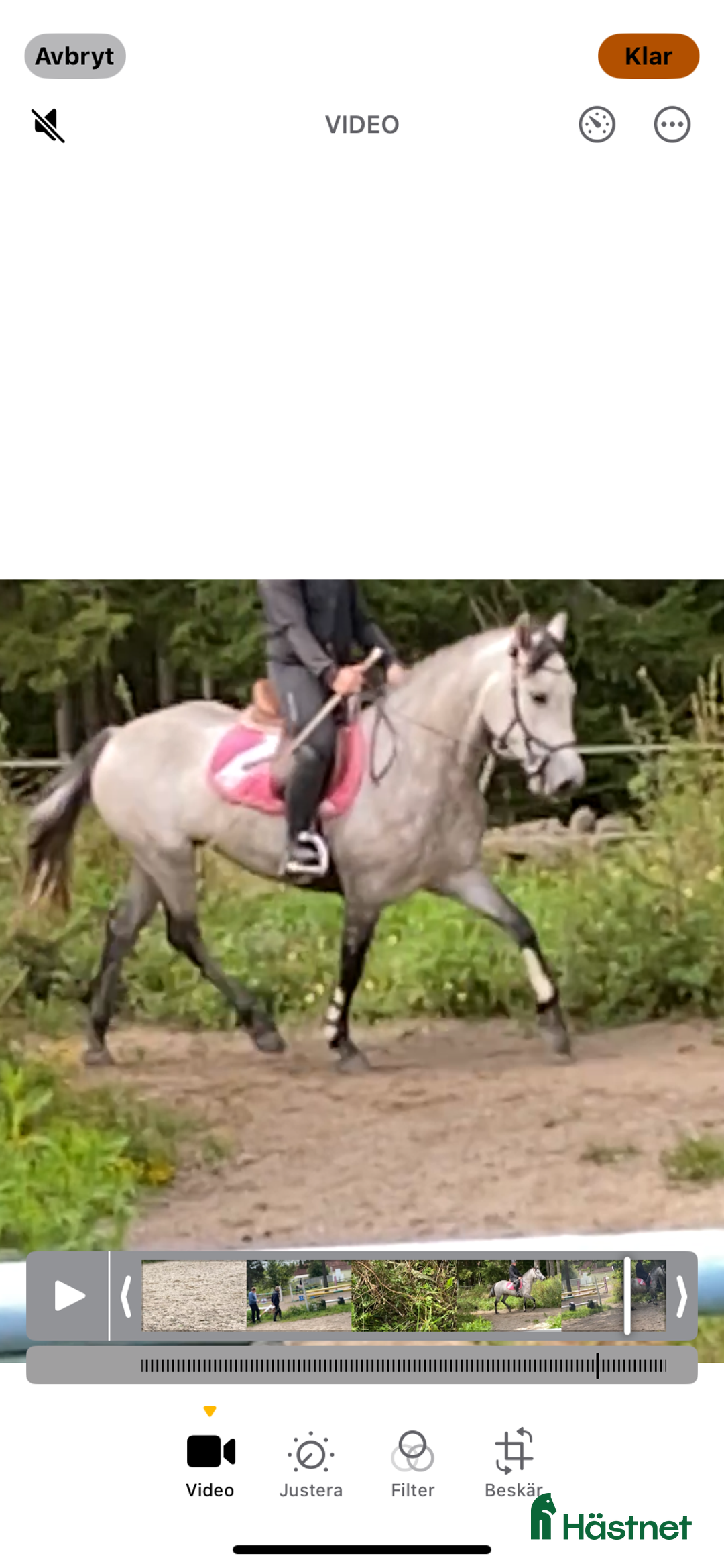  hästjobb finnes: Unghästar,erfarenhet av det,l duktig tuff,ryttare i Järlåsa - Annons 1