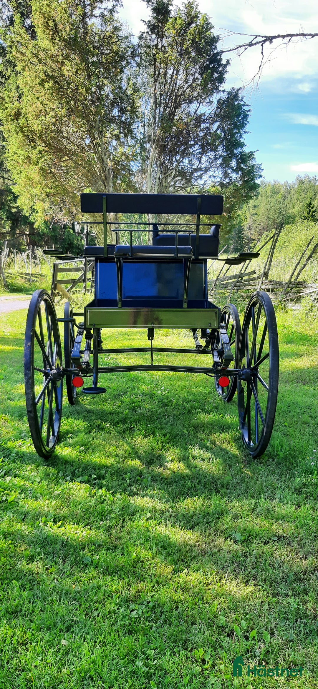 Körvagnar körning till salu: Finvagn i Norrtälje - Bild 6