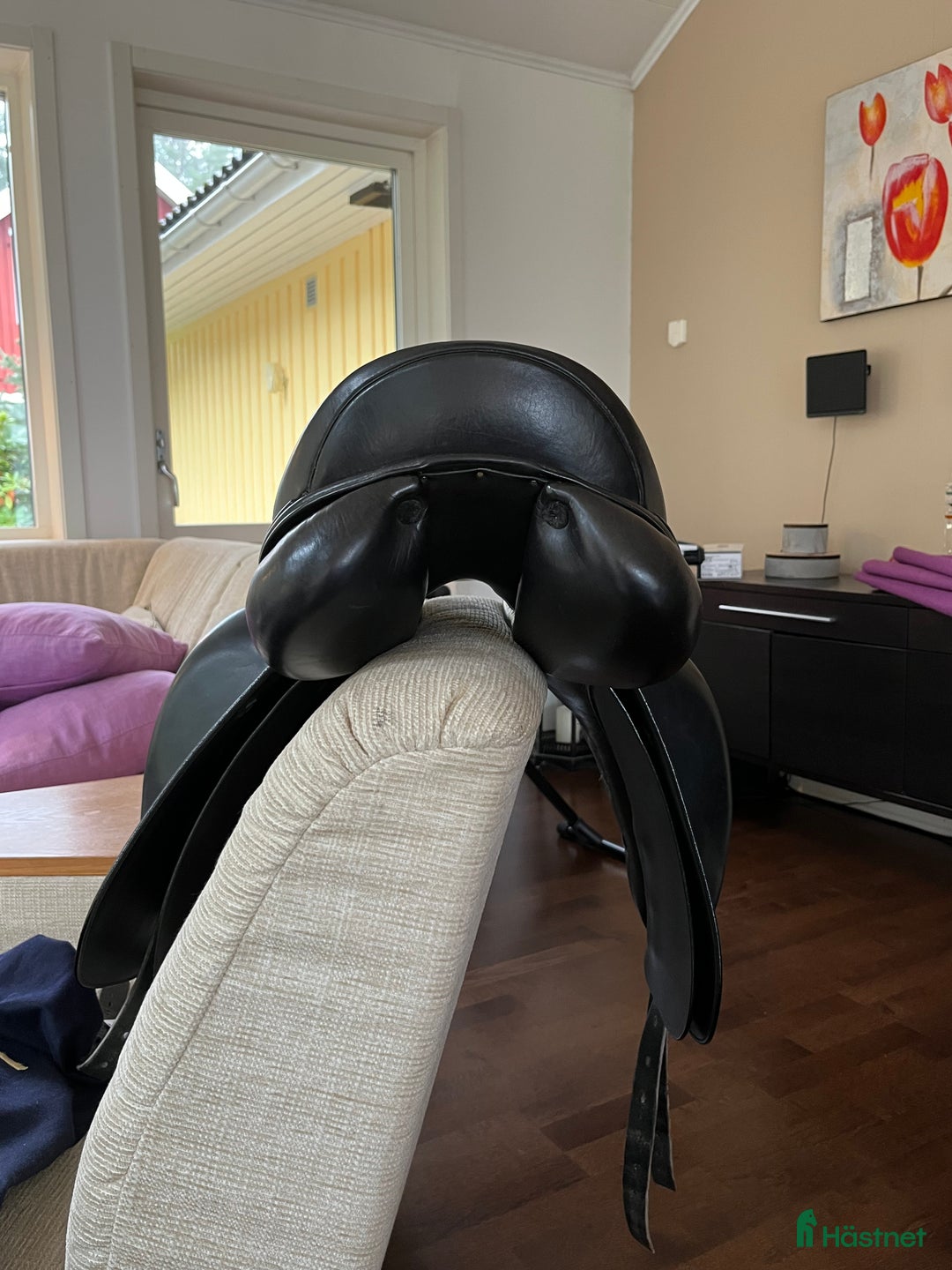 Sadlar hästutrustning till salu: Lippo Azzario i Järved - Annons 6