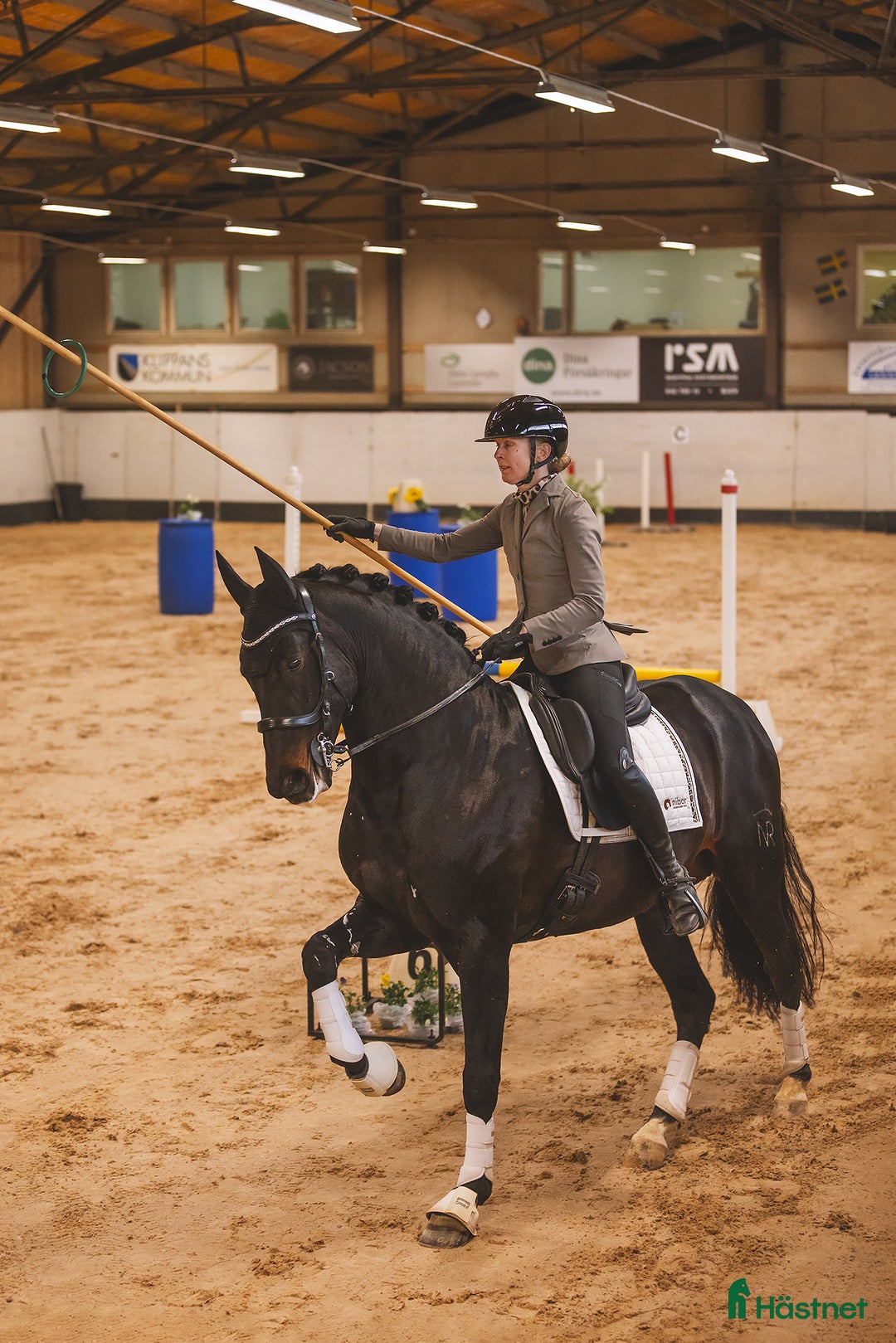 Working Equitation hästar till salu: Working Equitation/Dressyrhäst i Tygelsjö - Annons 6