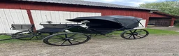 Körvagnar körning till salu: Viktoriavagn, renoverad i mycket gott skick - Annons 1