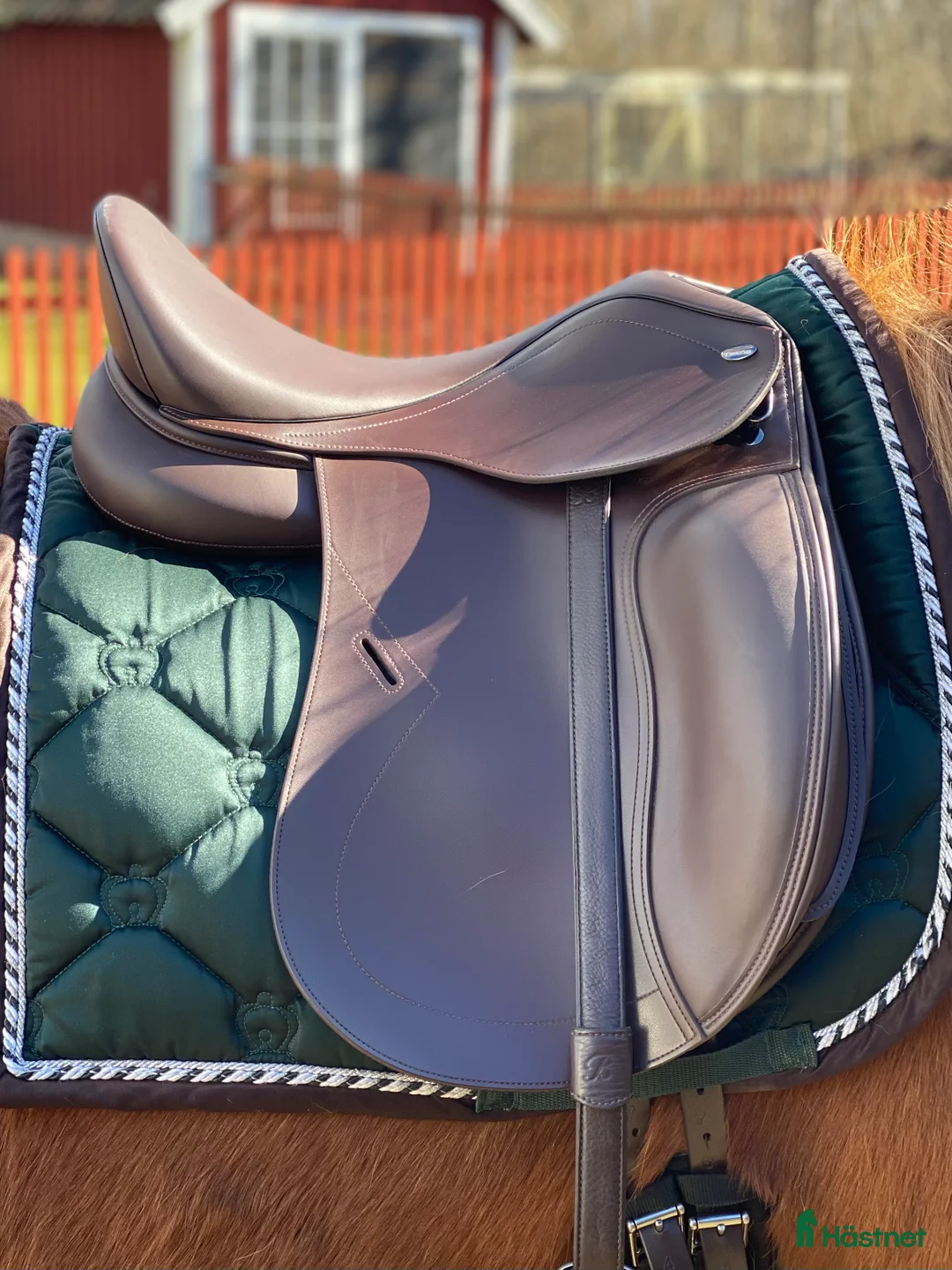 Sadlar hästutrustning till salu: Tekna s-line dressyr  i Motala - Annons 6
