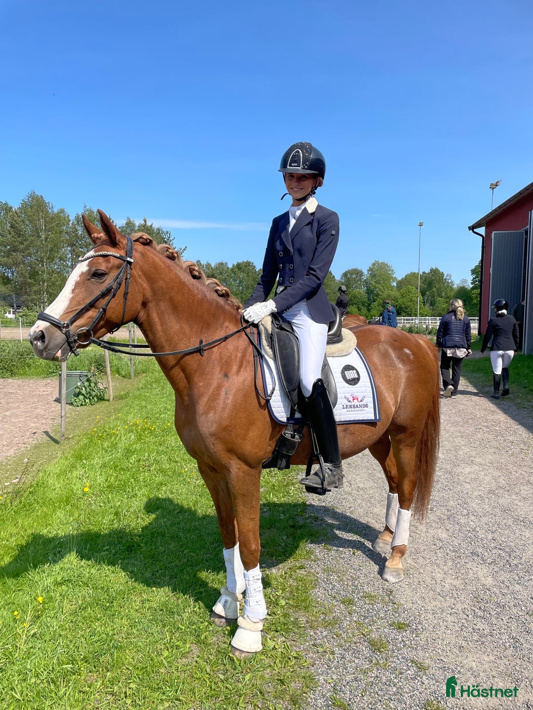 Dressyr hästar till salu: Otroligt fint D-ponnysto född 2011 i Sundborn - Annons 2