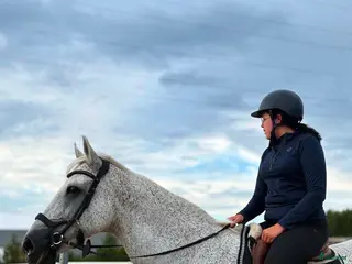 hästar Söker en allround bästis - Annons 4