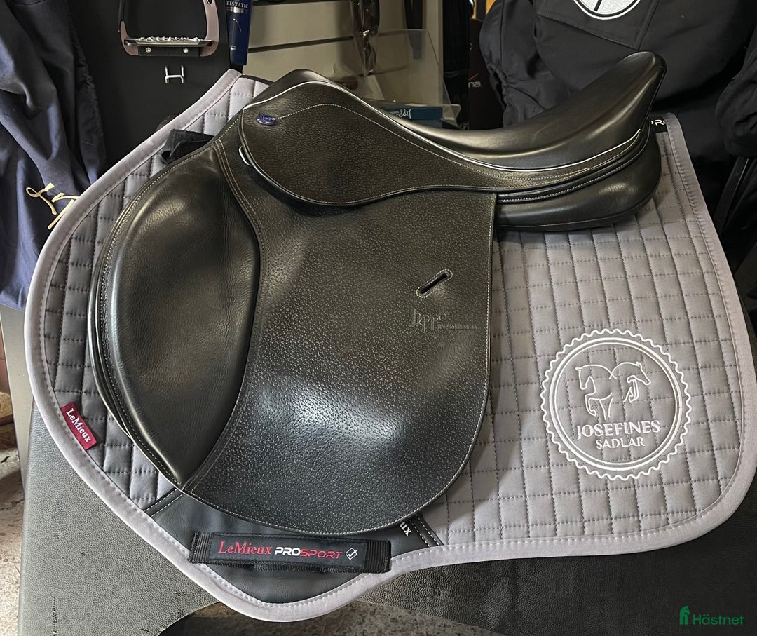 Sadlar hästutrustning till salu: Lippo Rivello Espanza i Hova - Annons 1