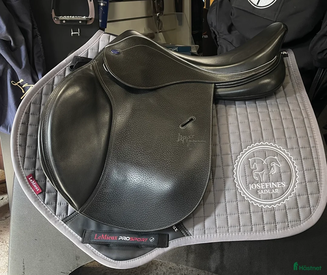Sadlar hästutrustning till salu: Lippo Rivello Espanza i Hova - Annons 1