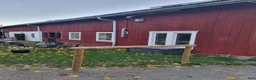  stallplats finnes: Lösdriftsplats finnes - Annons 3