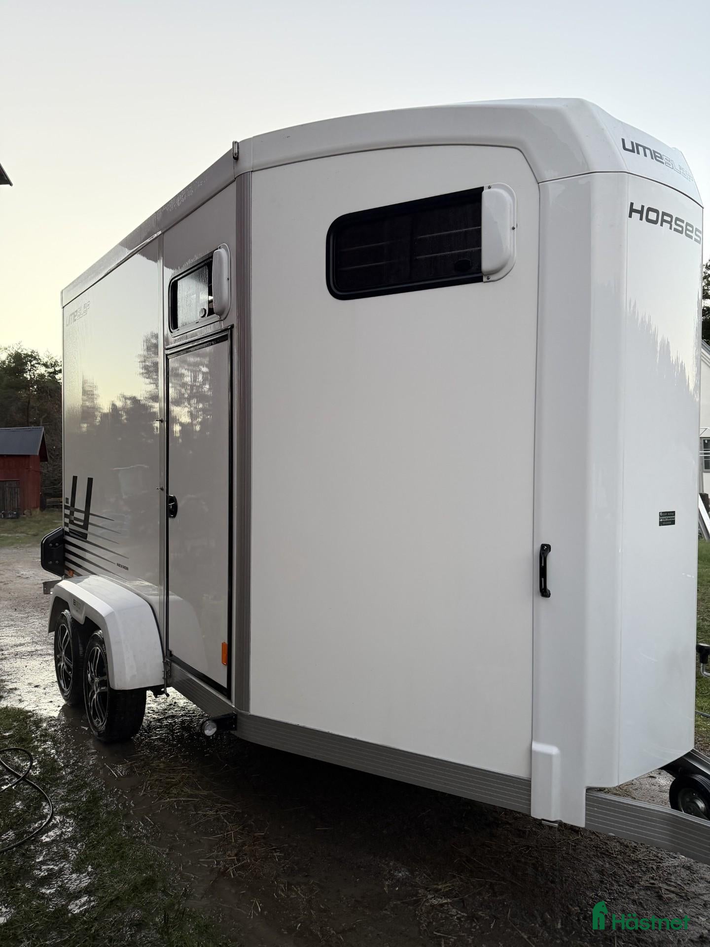 Hästtransporter  fordon & transport till salu: Umesläp B60 2024 - Annons 9