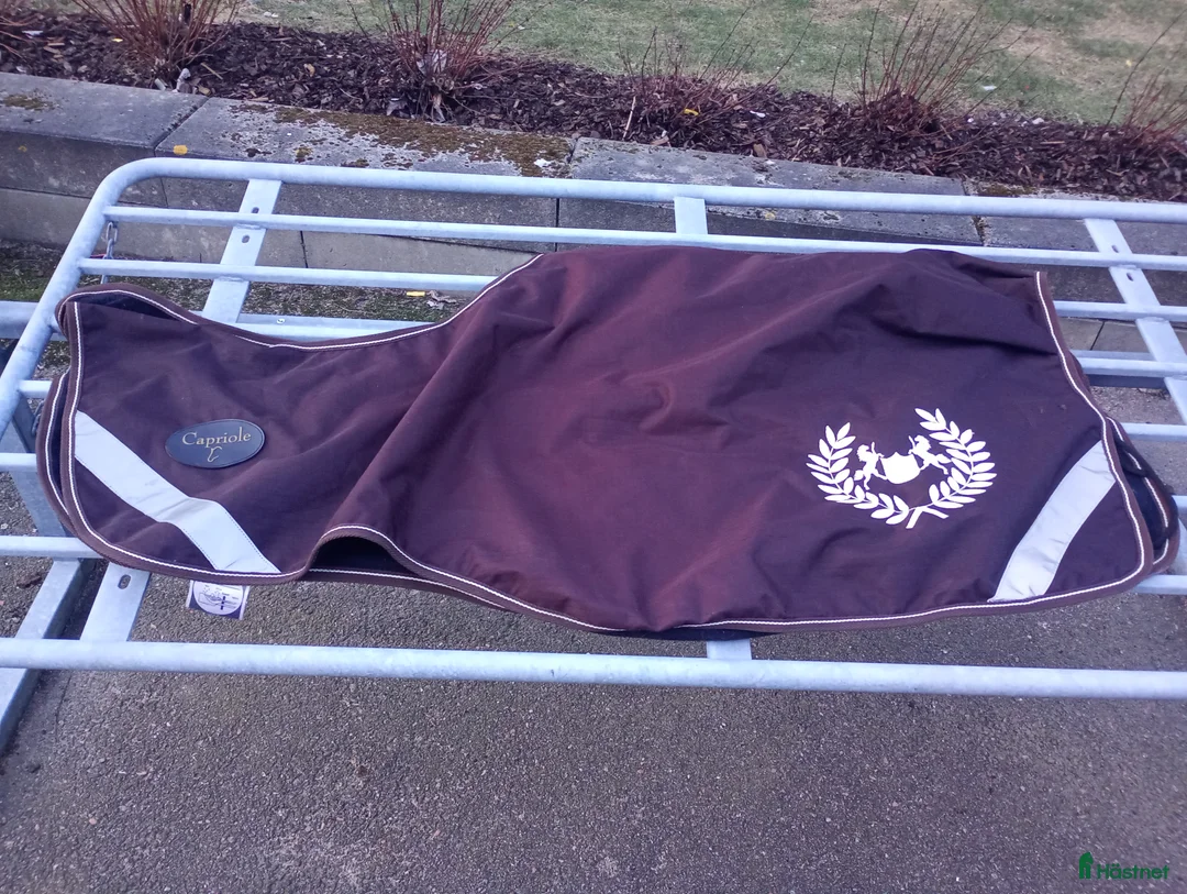 Täcken hästutrustning till salu: Skrittäcke  - Annons 2