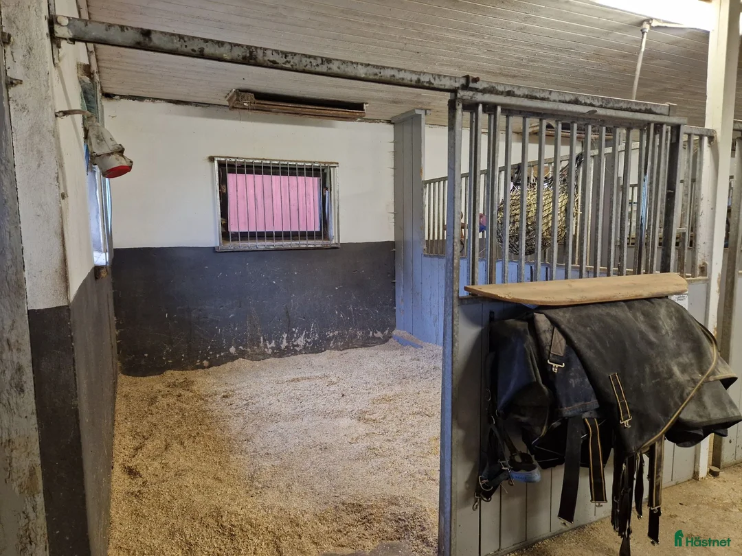  stallplats finnes: Stallplatser utanför Vara.  - Annons 2