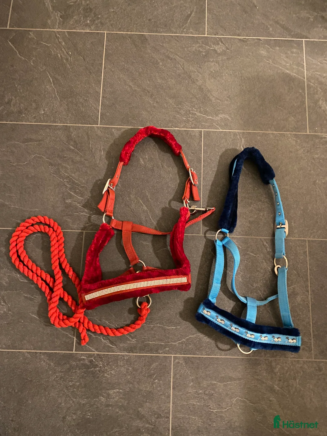 Övrig Hästutrustning hästutrustning till salu: Nya grimmor och grimskaft Hööks - Annons 1