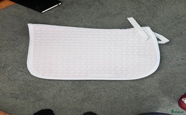 Schabrak & Vojlockar hästutrustning till salu i Sollentuna - Annons 11