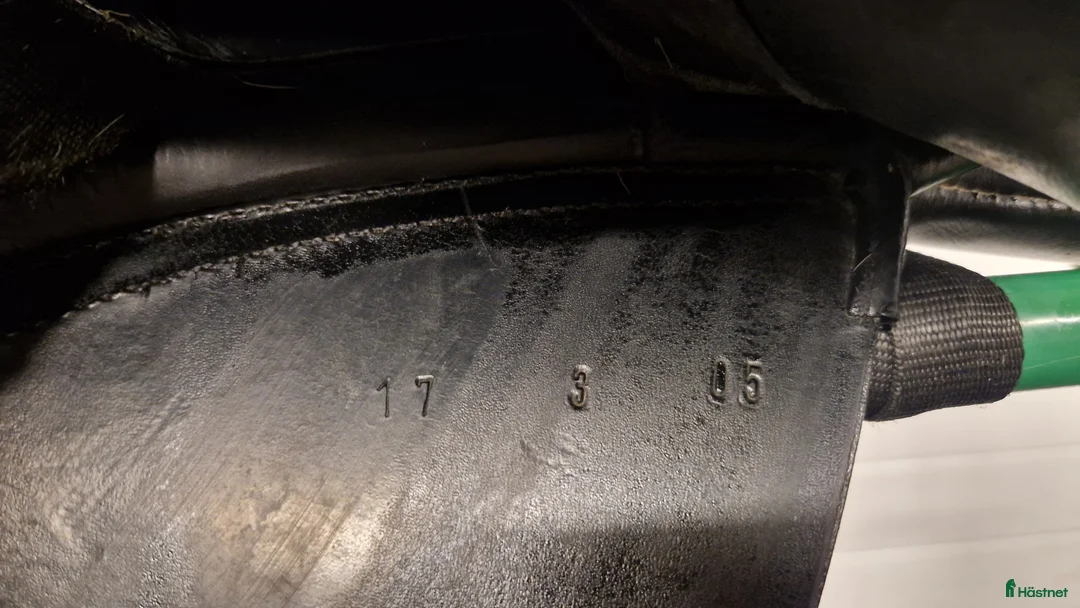 Sadlar hästutrustning till salu: Globus clic - Annons 8