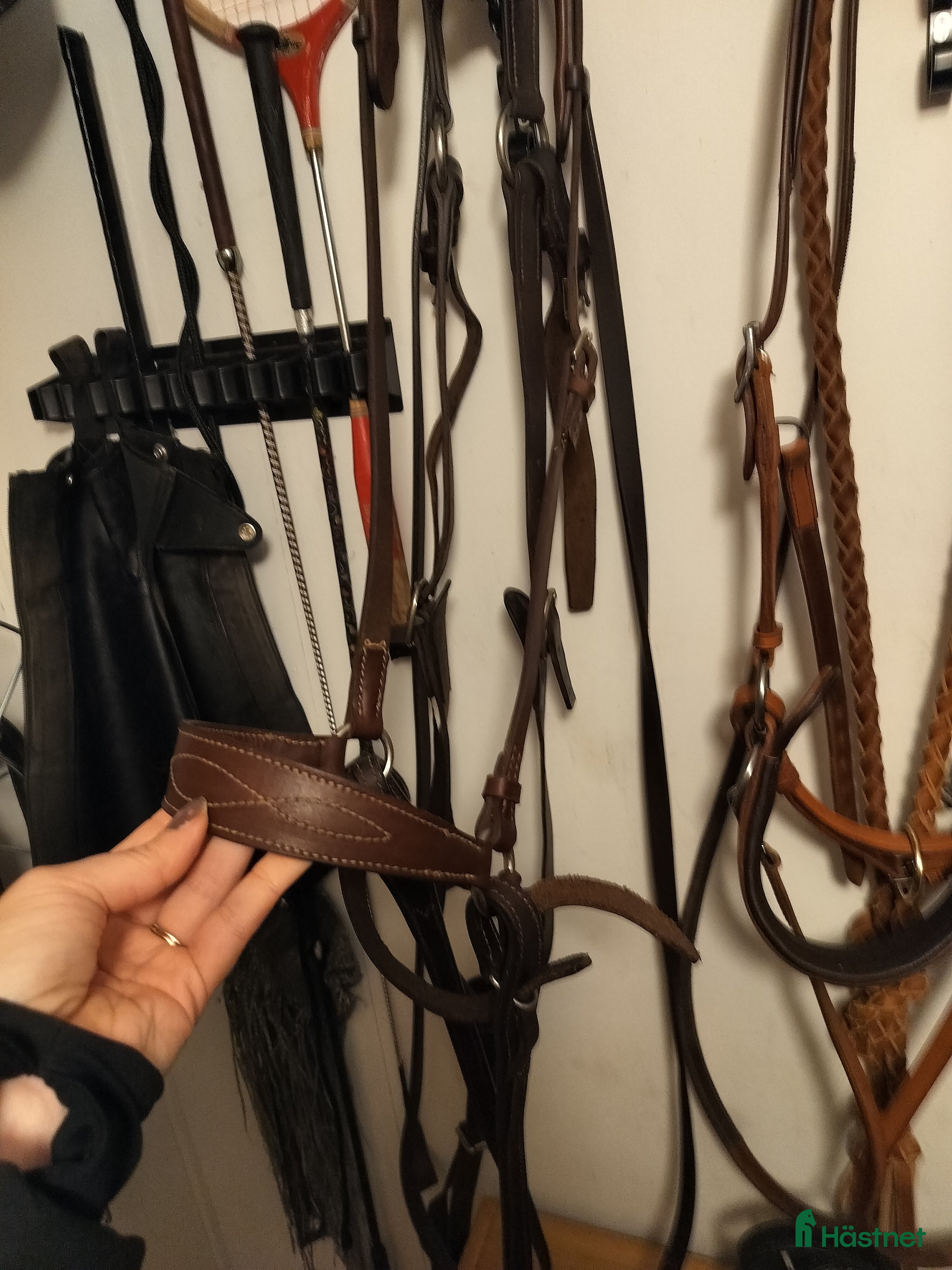 Träns hästutrustning till salu: Sidepull i handsytt läder + Mountain H nackskydd i Luleå - Annons 4