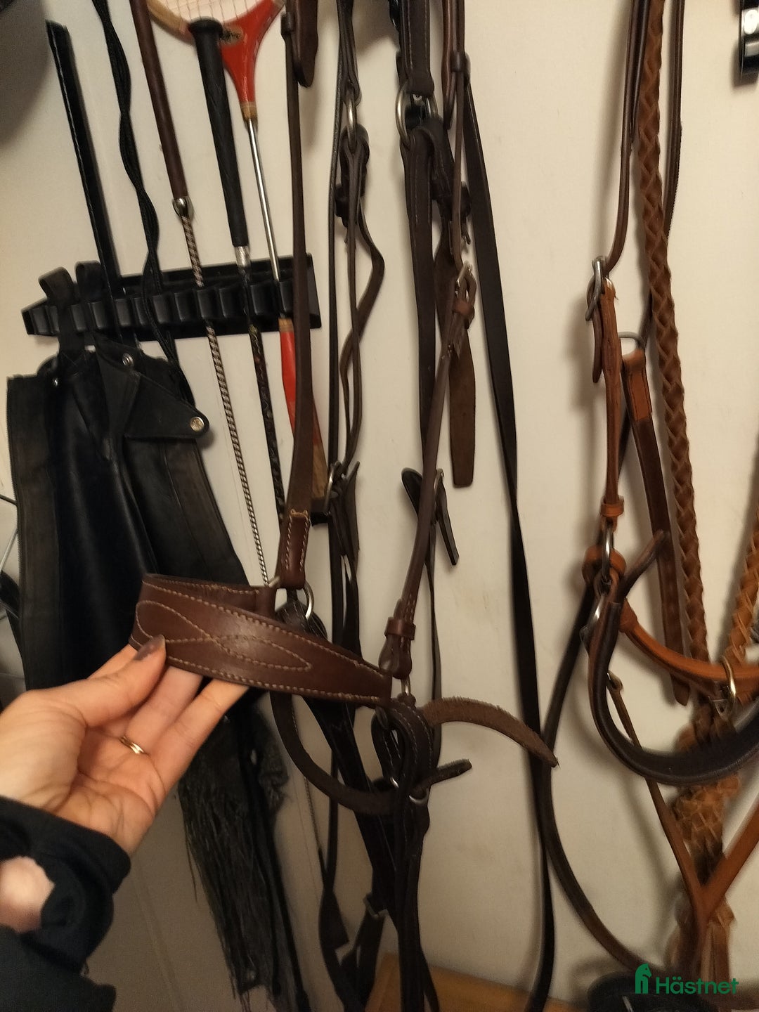 Träns hästutrustning till salu: Sidepull i handsytt läder + Mountain H nackskydd i Luleå - Annons 1